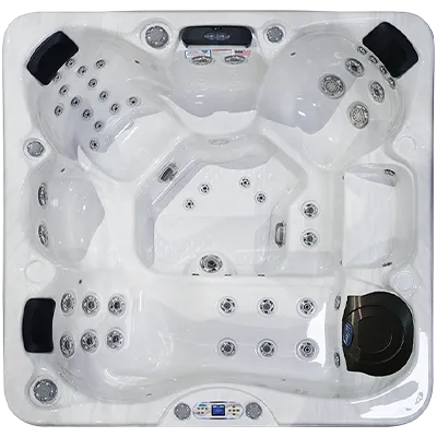 Avalon EC-849L hot tubs for sale in Chino